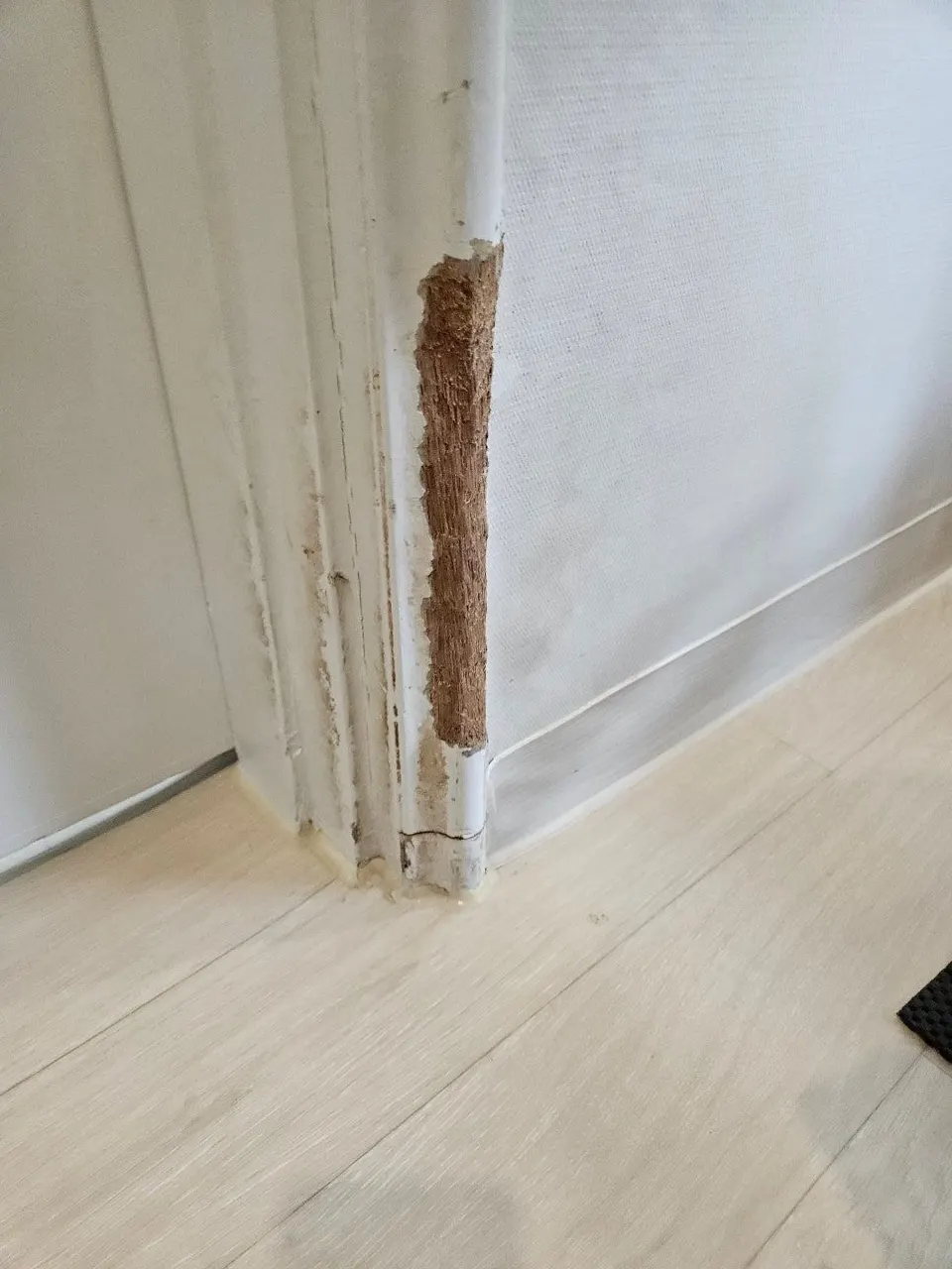 문틀 몰딩 아래쪽 페인트가 벗겨지고 속 나무가 길게 파인 복원 전 모습