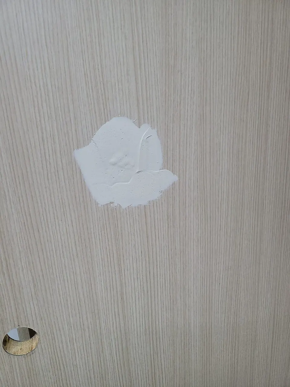 구멍 자리를 퍼티로 메워 하얗게 면을 잡은 화장실문 표면